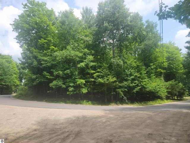 Land for sale in Michigan