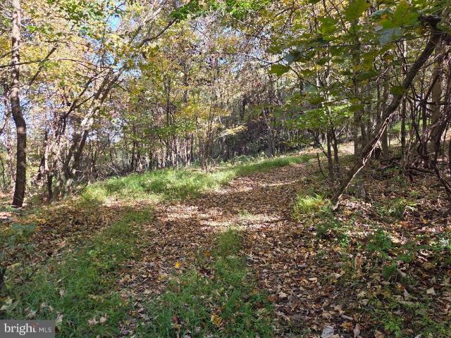 Land for sale in Fleming Summit, Green Township