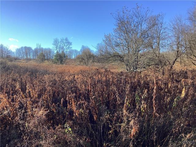 Land for sale in Oneida, New York