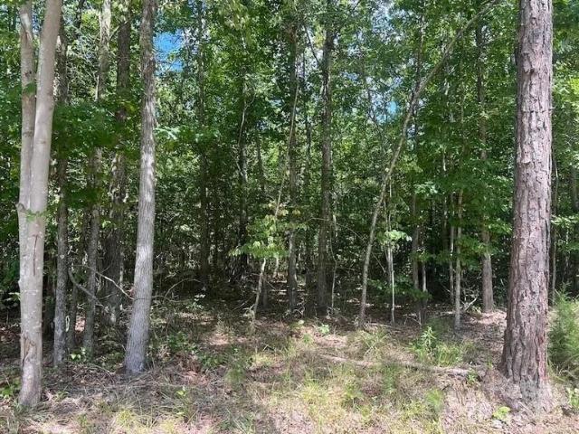 Land for sale in Gaffney, South Carolina