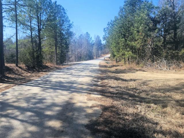 Land for sale in Waterloo, South Carolina