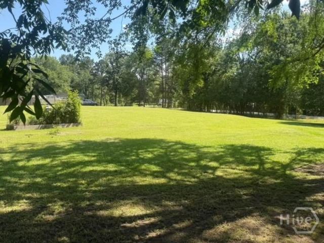 Land for sale in Elbert, Georgia