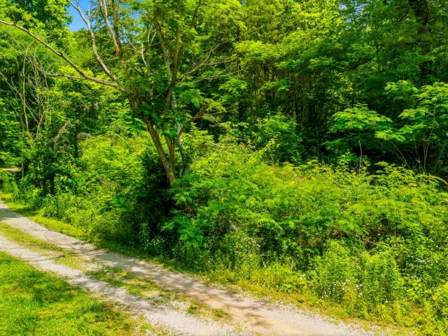 Land for sale in Tennessee