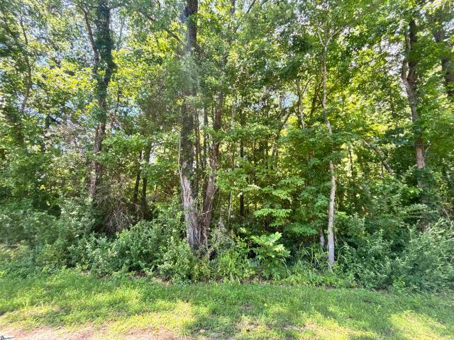 Land for sale in Blacksburg, South Carolina