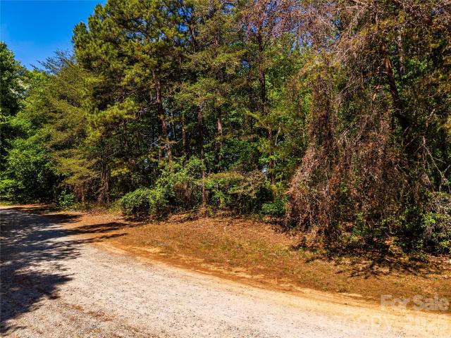 Land for sale in Maiden, Lincoln County