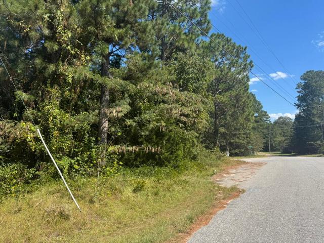 Land for sale in New Ellenton, Aiken County
