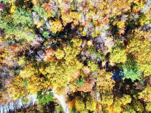 Land for sale in Springfield, Sullivan County