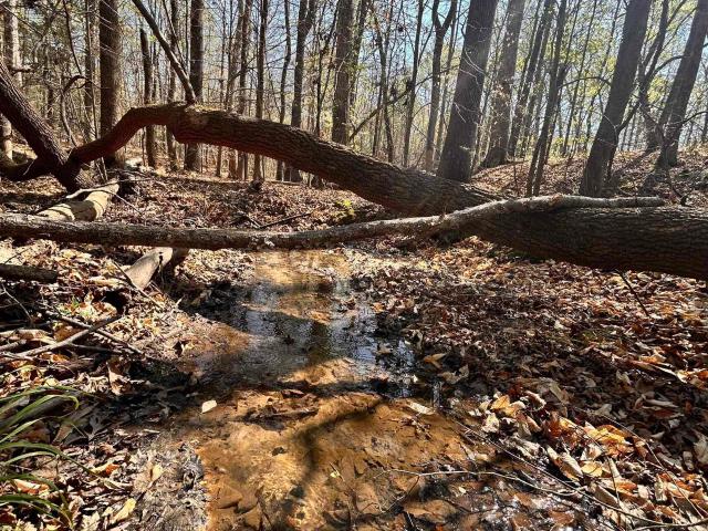 Land for sale in Laurens, South Carolina