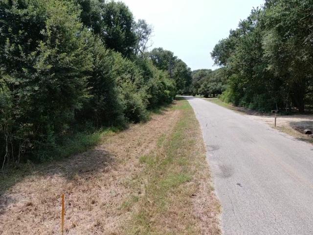 Land for sale in Damon, Texas