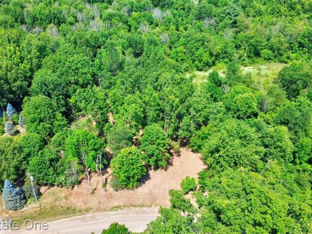 Land for sale in Michigan