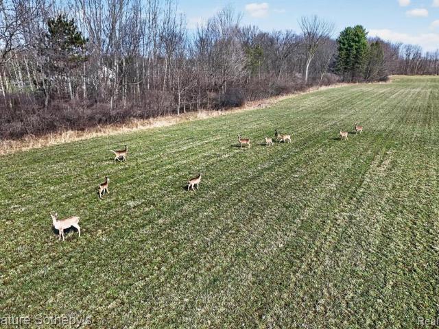 Land for sale in Michigan