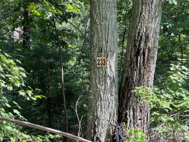 Land for sale in Rutherford, North Carolina