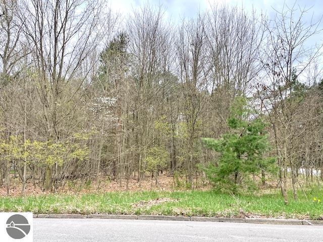 Land for sale in Michigan