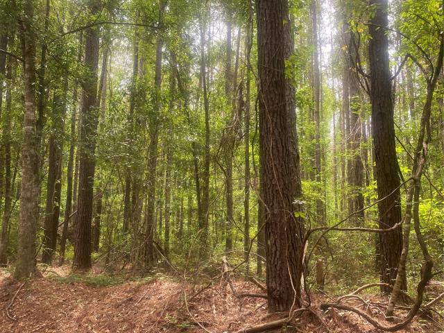 Land for sale in Dozier, Alabama