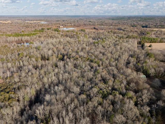 House for sale in Akron, Alabama