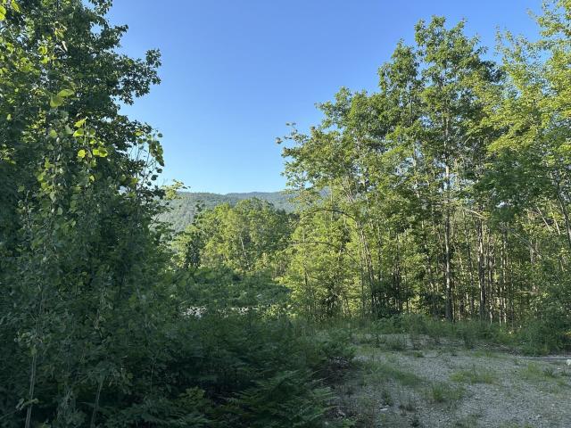 Land for sale in New Hampshire