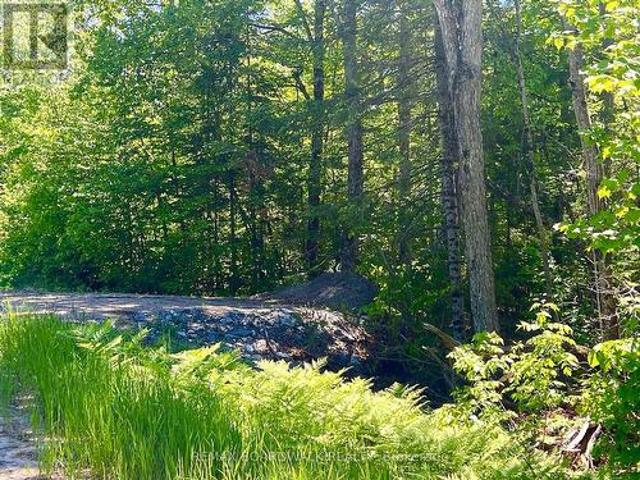 Land for sale in Addington Highlands, Ontario