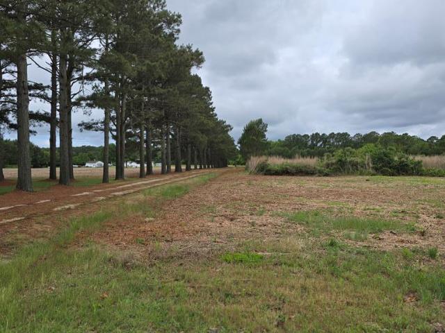 Land for sale in Wachapreague, Accomack County