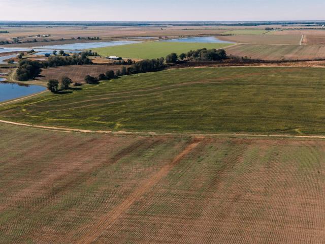 Land for sale in Ark