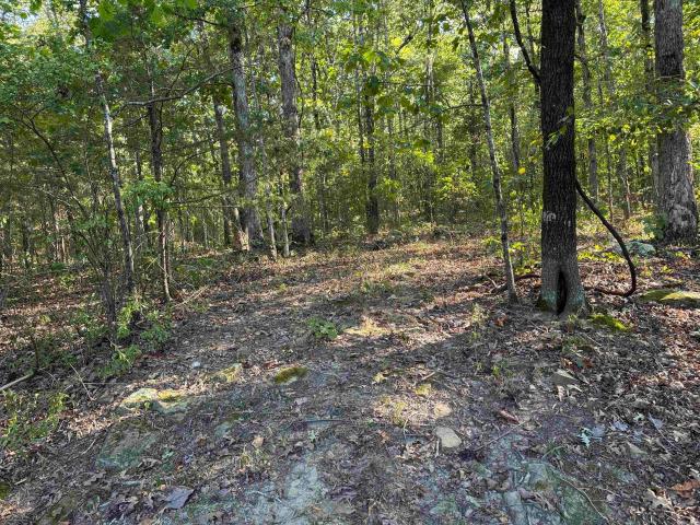 Land for sale in Heber Springs, Cleburne County