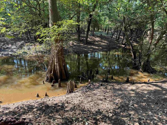 Land for sale in Ark