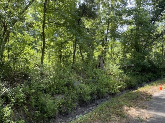 Land for sale in Kingstree, South Carolina