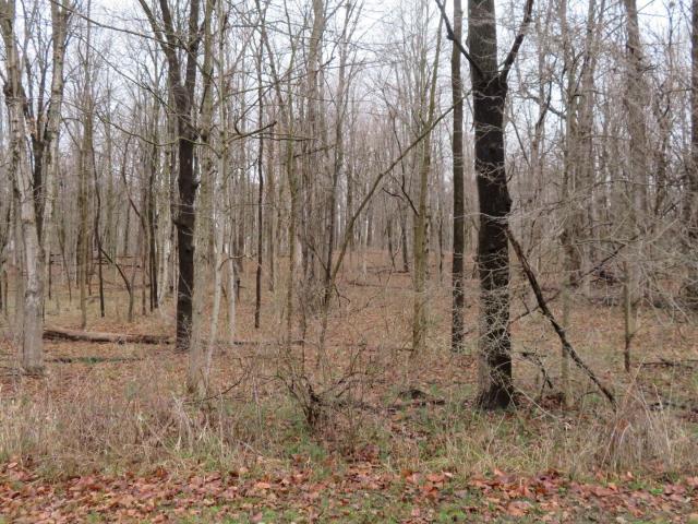 Land for sale in Crawfordsville, Indiana