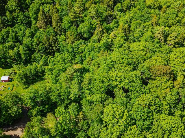 Land for sale in New Hampshire