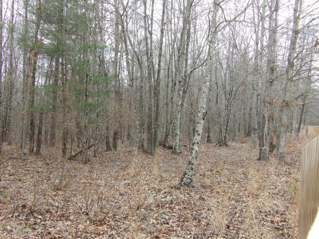 Land for sale in Tennessee