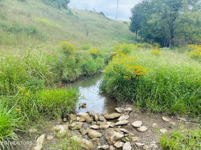 Land for sale in Luther, Sneedville