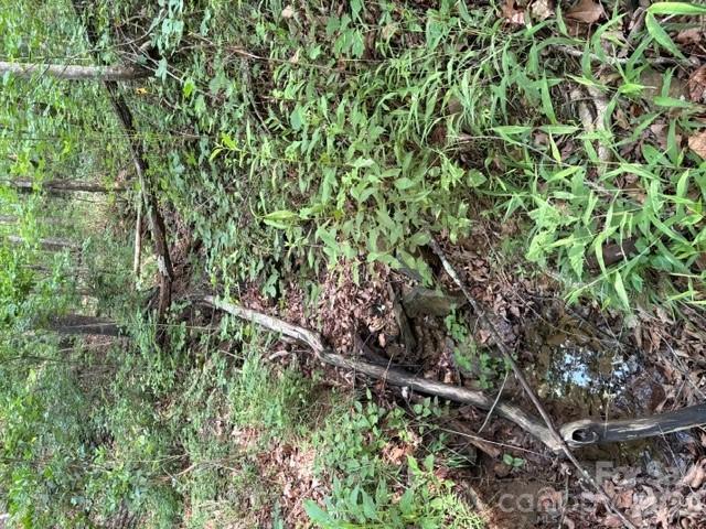 Land for sale in Tryon, North Carolina