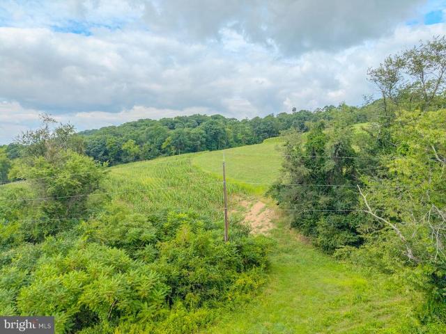 Land for sale in Herndon, Northumberland County