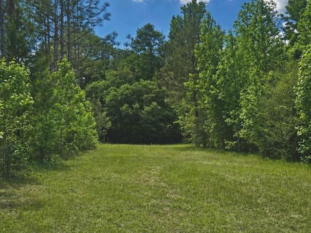 Land for sale in Slocomb, Geneva County