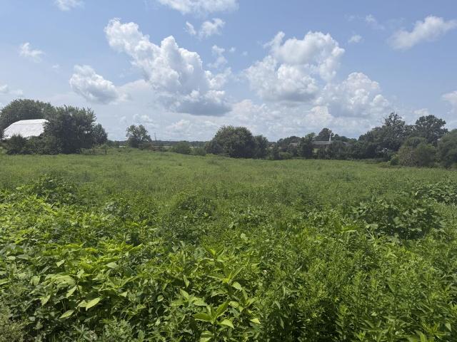 Land for sale in Tennessee