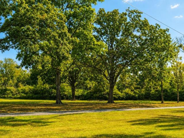 Land for sale in Ark