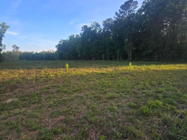 Land for sale in Summerville, South Carolina