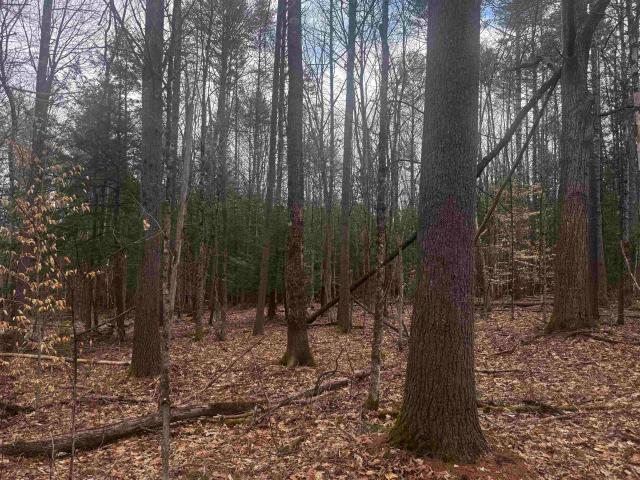 Land for sale in New Hampshire