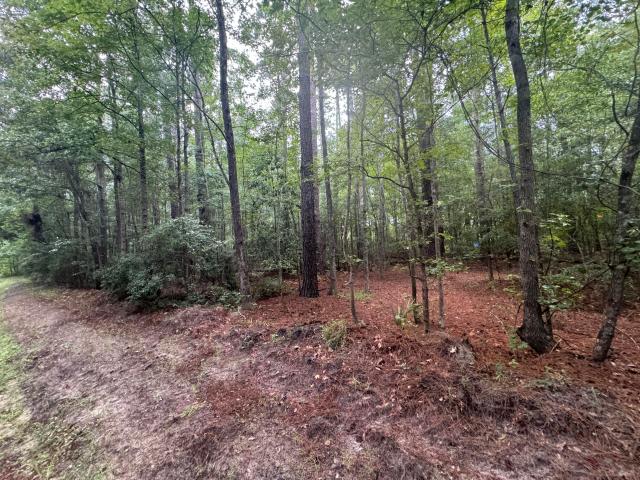 Land for sale in Varnville, South Carolina