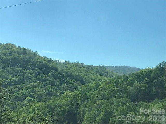 Land for sale in Saluda, North Carolina