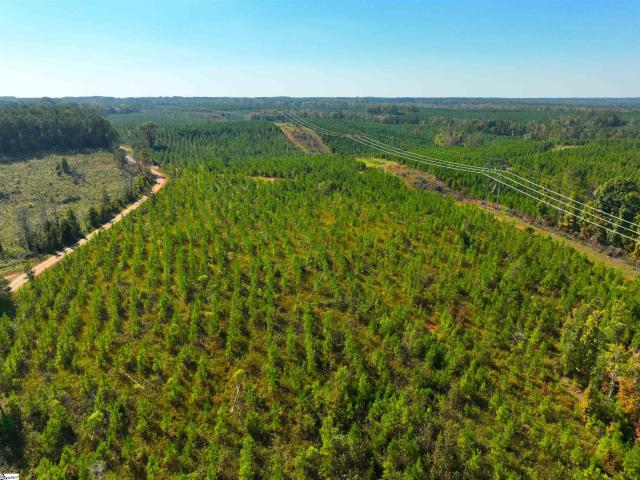 Land for sale in Calhoun Falls, Abbeville County