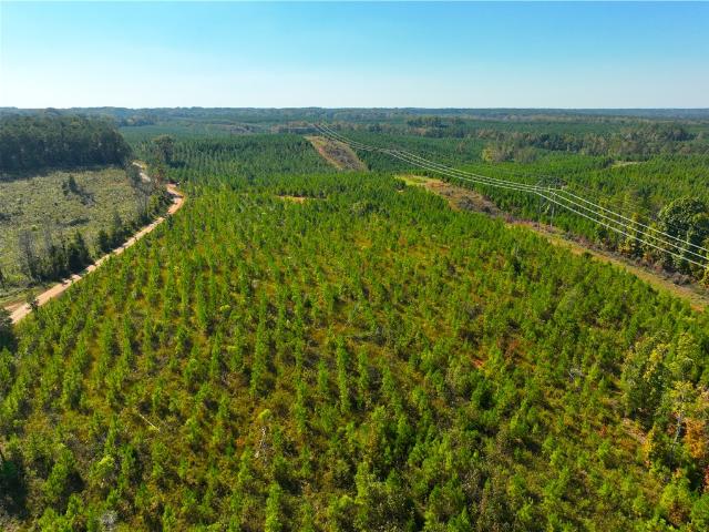 Land for sale in Calhoun Falls, Abbeville County