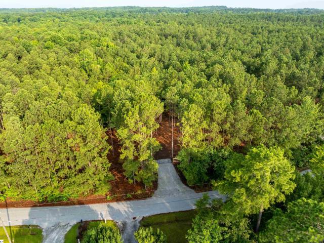 Land for sale in Gray Court, South Carolina