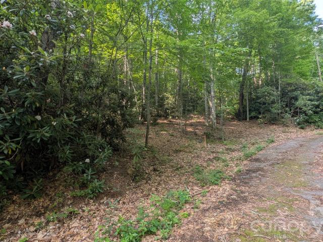 Land for sale in Haywood, North Carolina