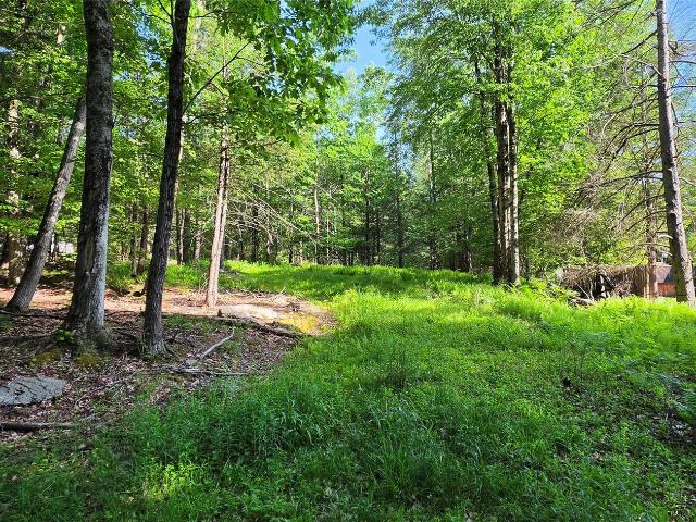 Land for sale in Fallsburg, New York
