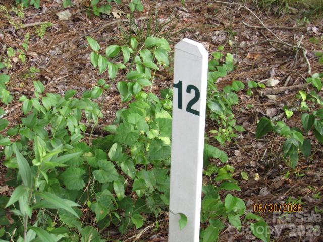 Land for sale in Hiddenite, North Carolina
