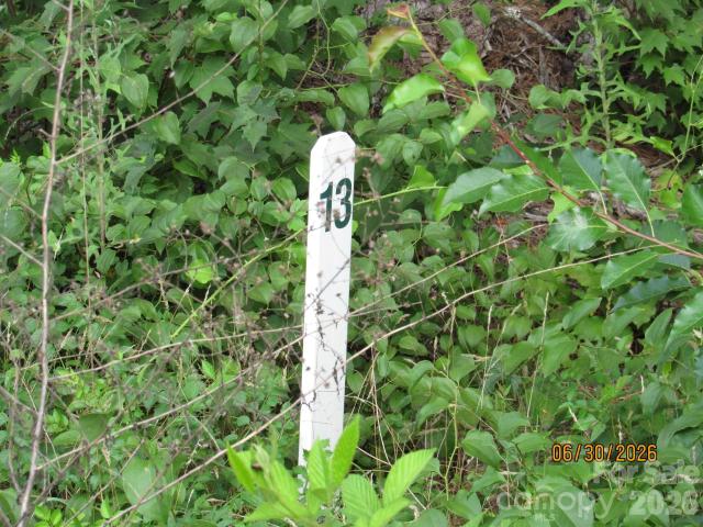 Land for sale in Hiddenite, North Carolina