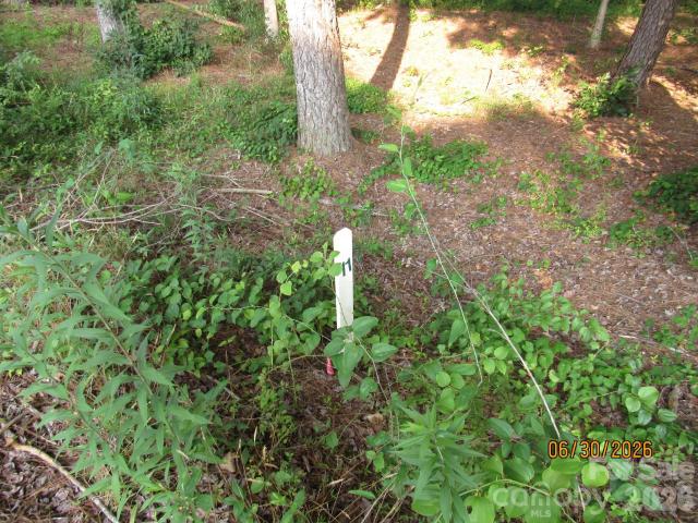 Land for sale in Hiddenite, North Carolina
