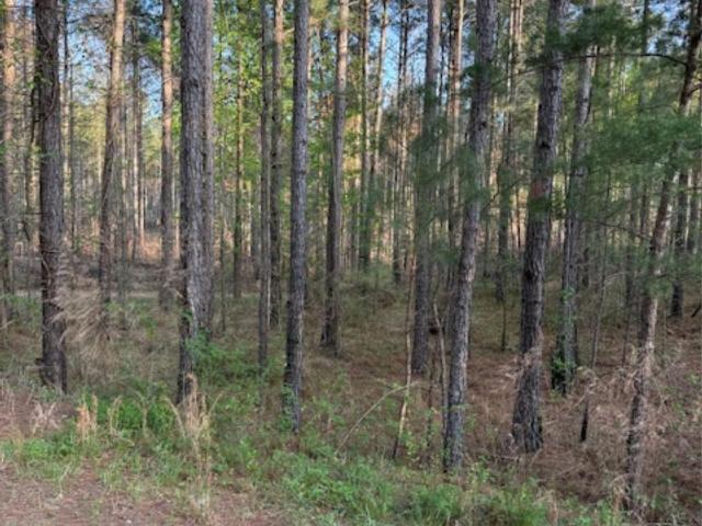 Land for sale in Lilesville, North Carolina