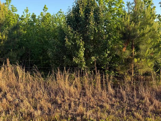Land for sale in Florence, Alabama