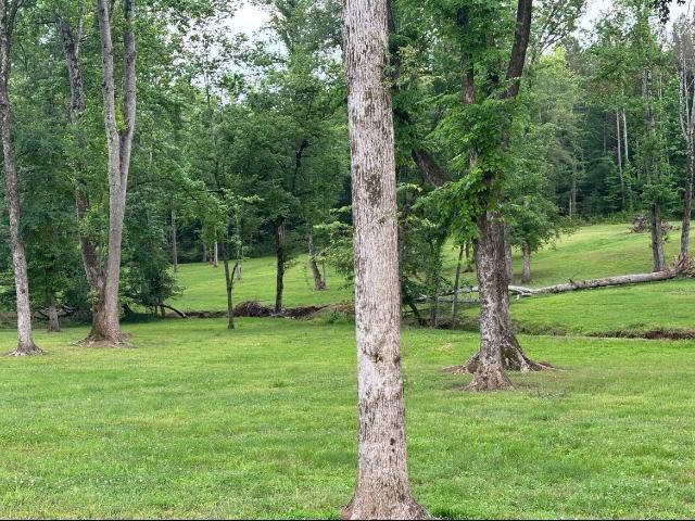 Land for sale in Florence, Alabama